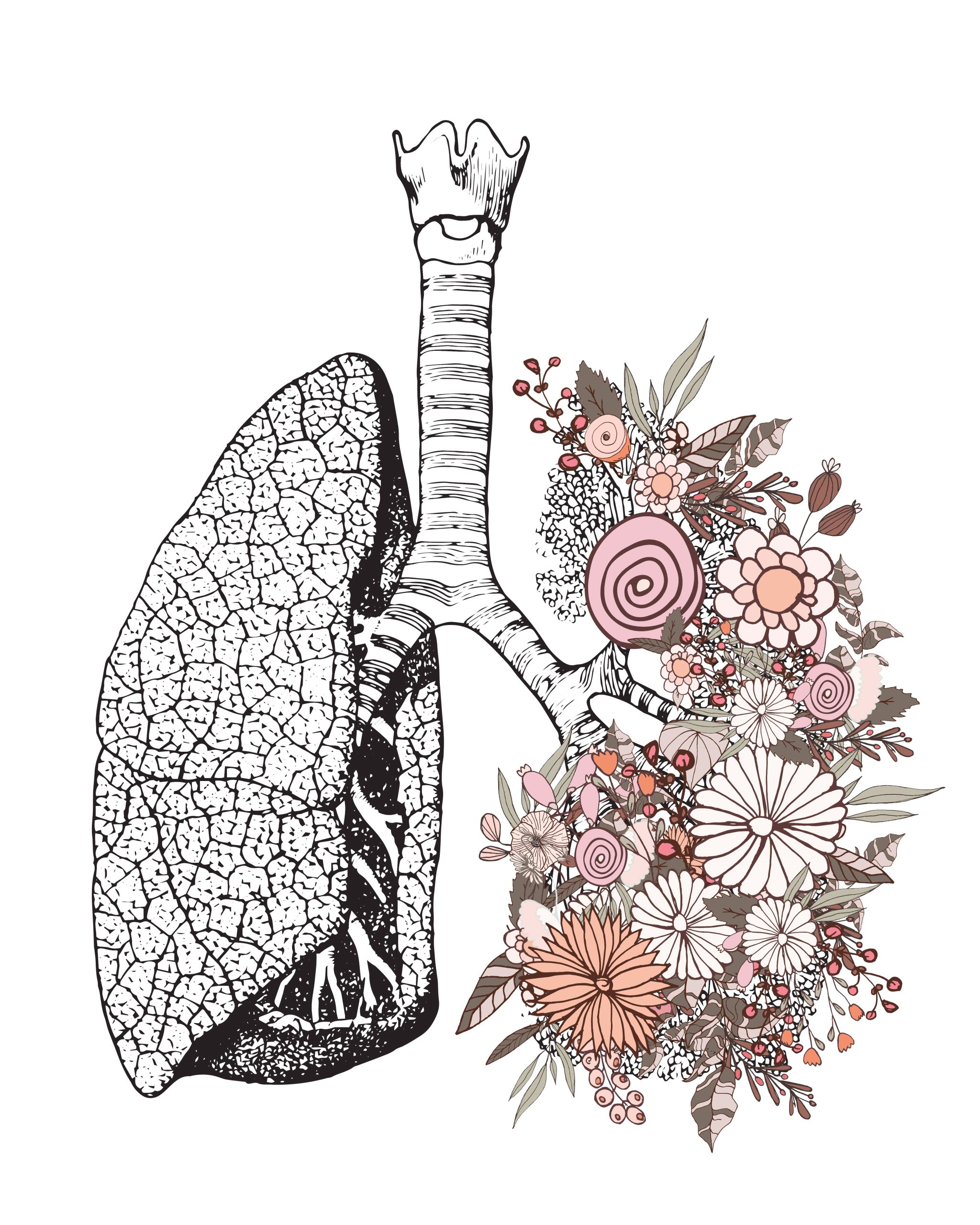 Integrated Anatomy - Lungs